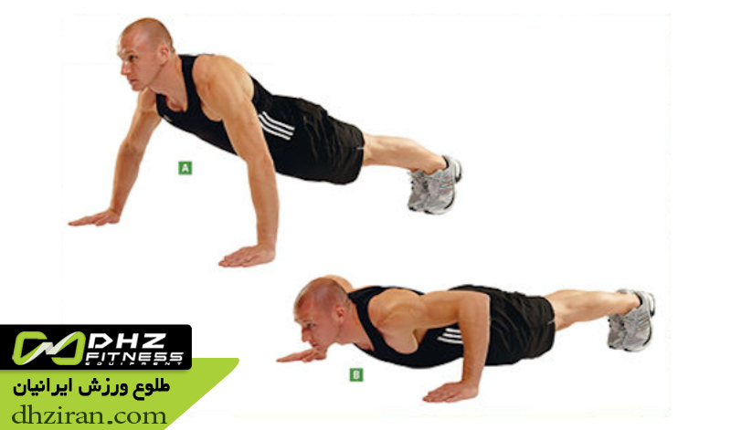 شنا سوئدی استاندارد 